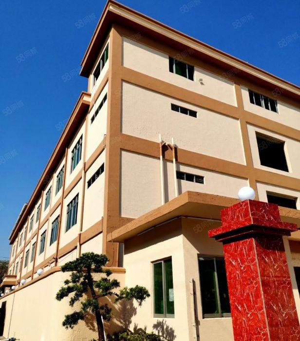 万江新出原房东标准厂房出租独院5800平方带宿舍办公可以分租