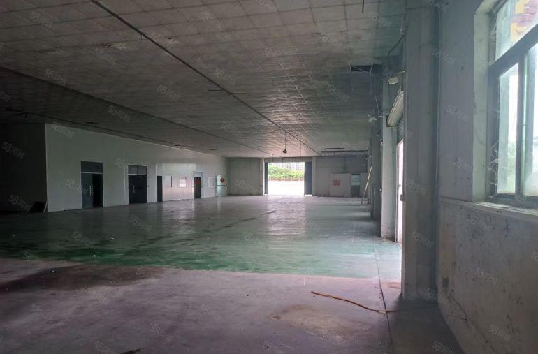 万江环城路外原房东独院厂房出租，带地坪漆，吊顶，拖头可进车间