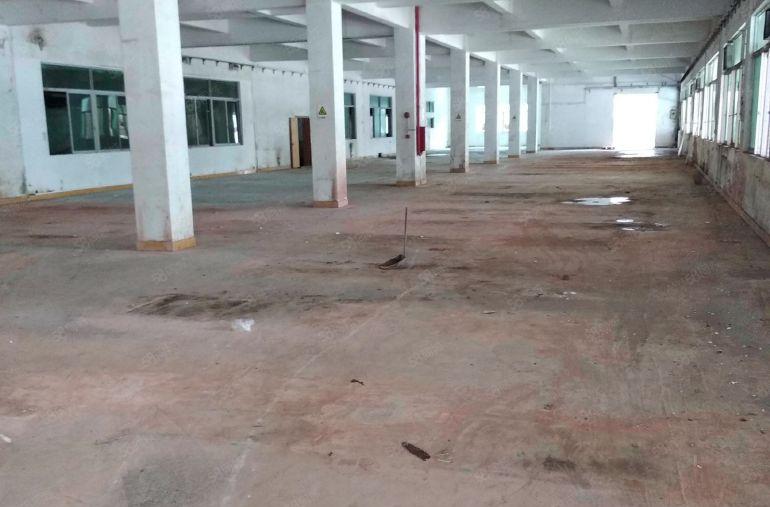 万江新出一楼厂房1500平方招租，电350可增容