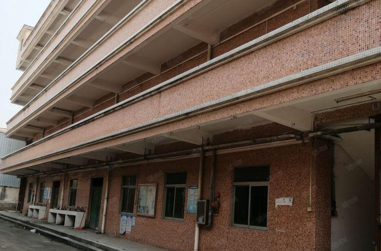 万江莫屋村独门独院原房东3000平方工业厂房招租（可分租）