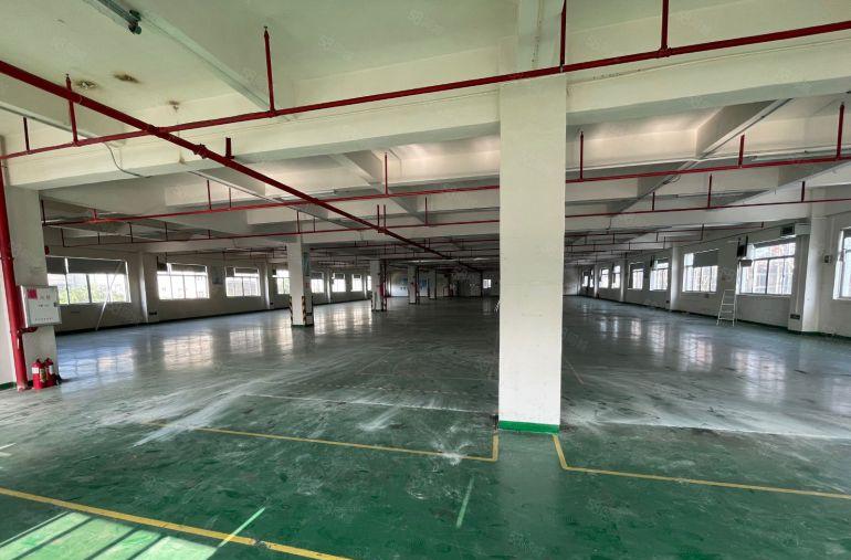 万江滘联原房东整栋5500平方标准厂房出租配套完善配电大