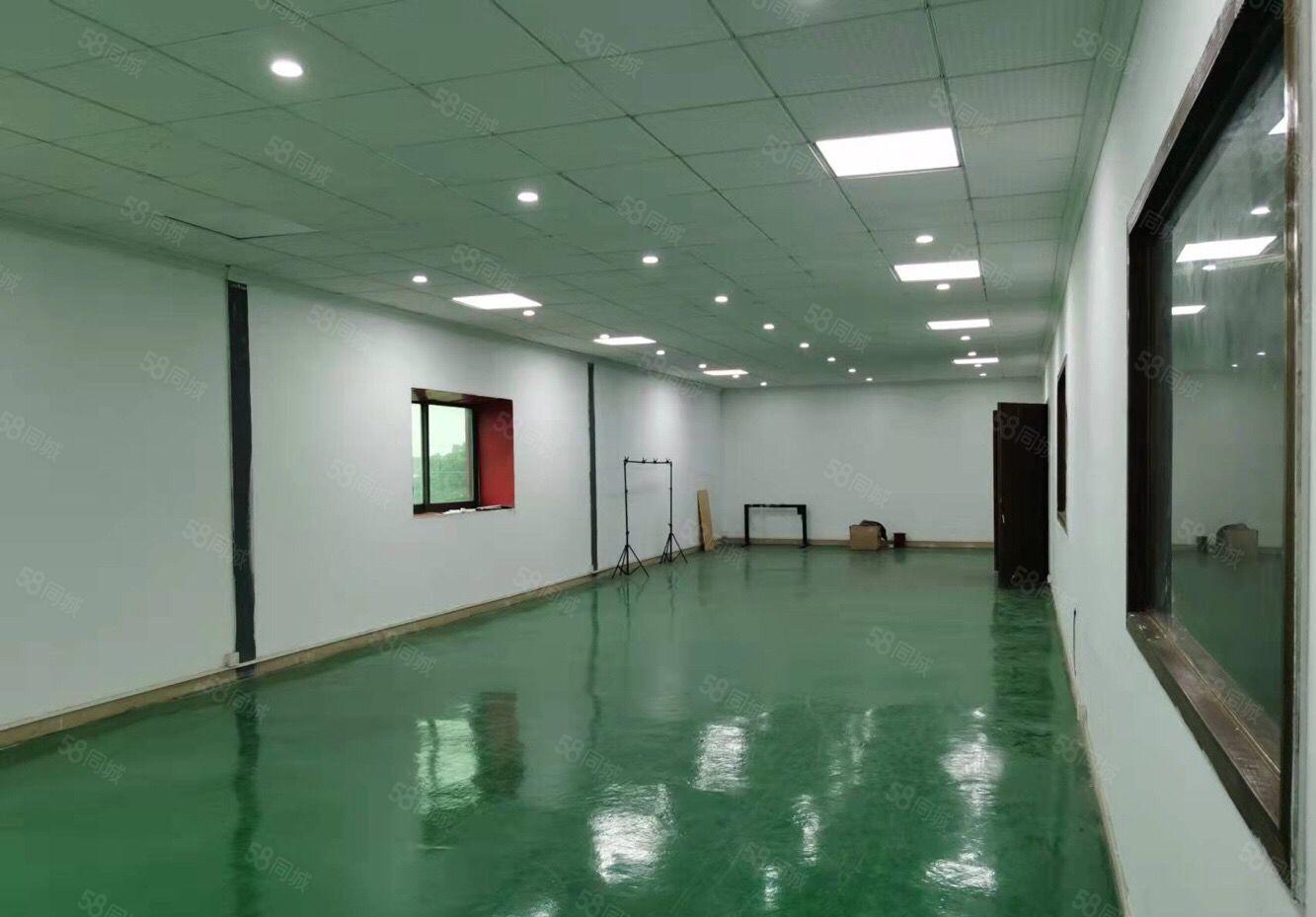 万江原房东独院标准厂房一二楼低价出租，可分租单一层