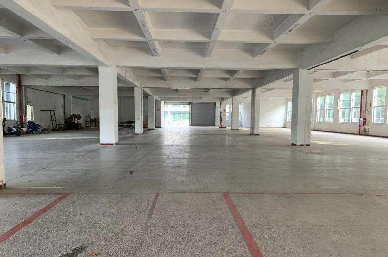 万江简装标准一楼500平方，800平方，1200平方招租