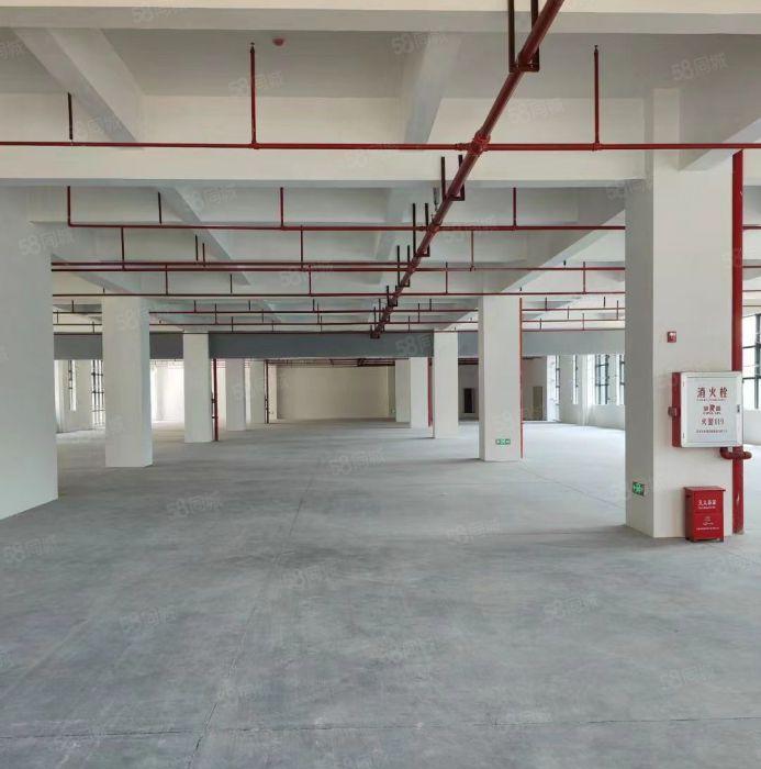 万江新和工业区全新高标准厂房出租