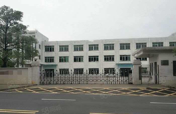 万江镇新空出标准工业园花园厂房2360平方厂房出租，易招工