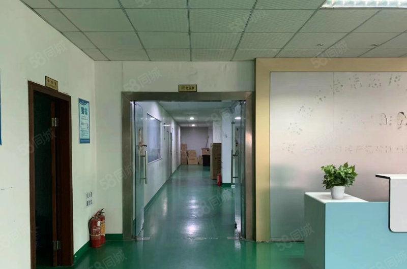 万江简装标准一楼500平方，800平方，1200平方招租