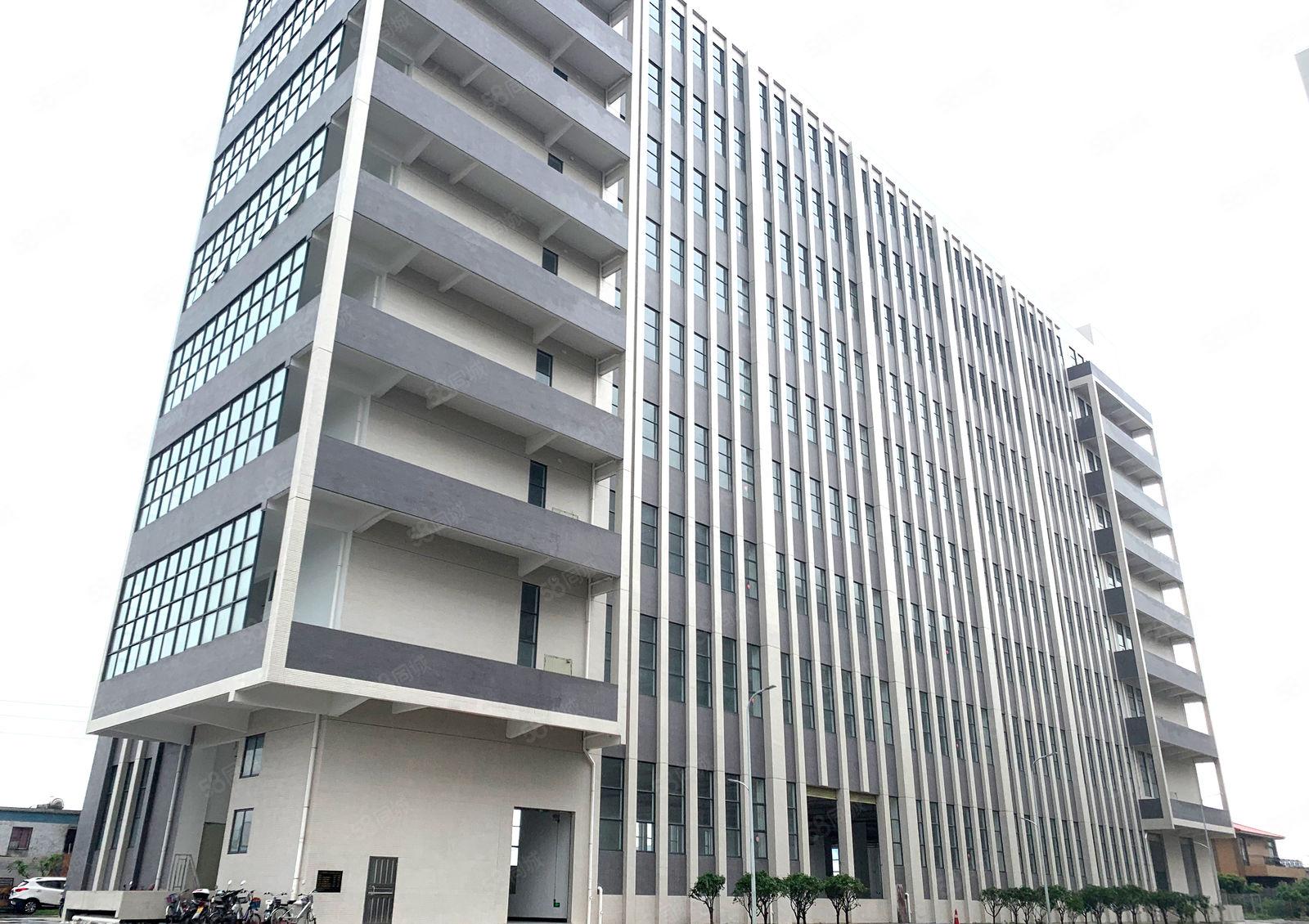 物业直租万江港口大道边产业园厂房写字楼 价格面议