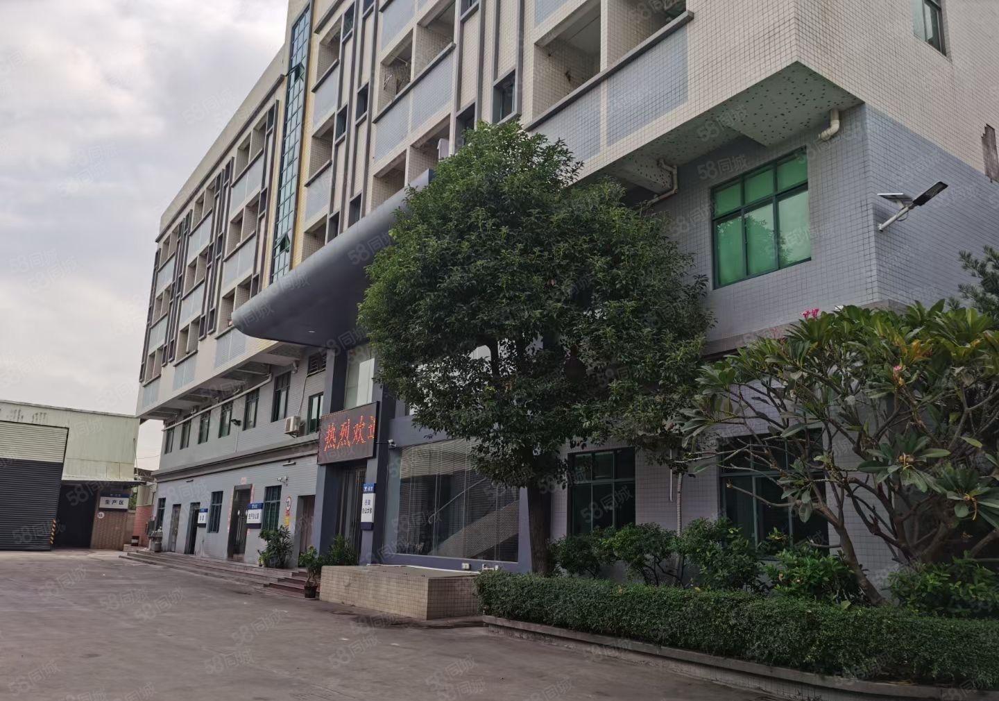 万江省道边，独门独院单一层钢构滴水10米低价厂房出租，可分租