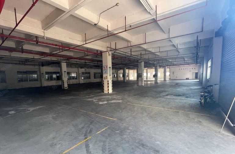 万江滘联原房东整栋5500平方标准厂房出租配套完善配电大