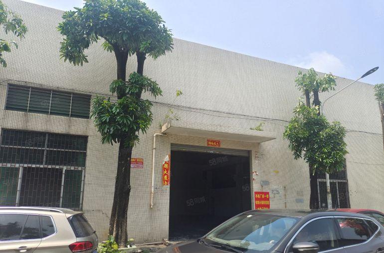 万江街道简沙洲钢材市场旁单一层400方对外招租