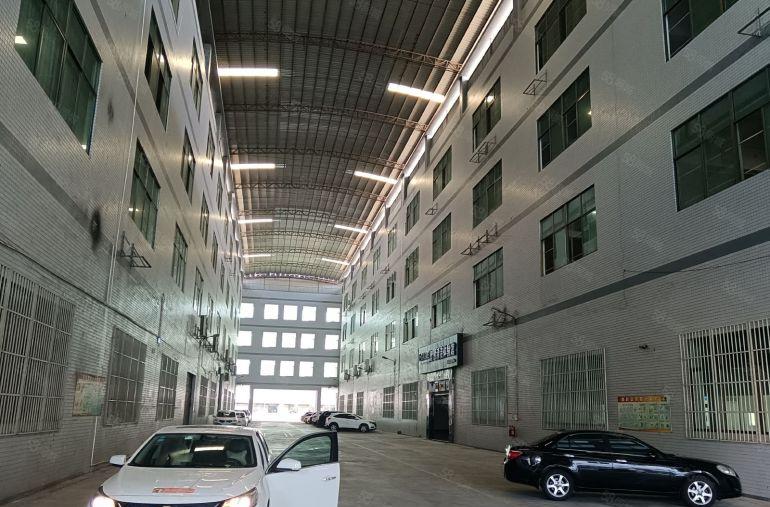 万江简沙洲厂房全新1000，2000，10000平方出租