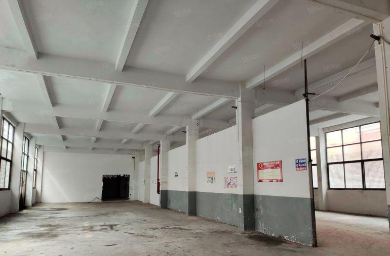 万江金泰一楼厂房1025平厂房东南向层高5米方正户型原房东