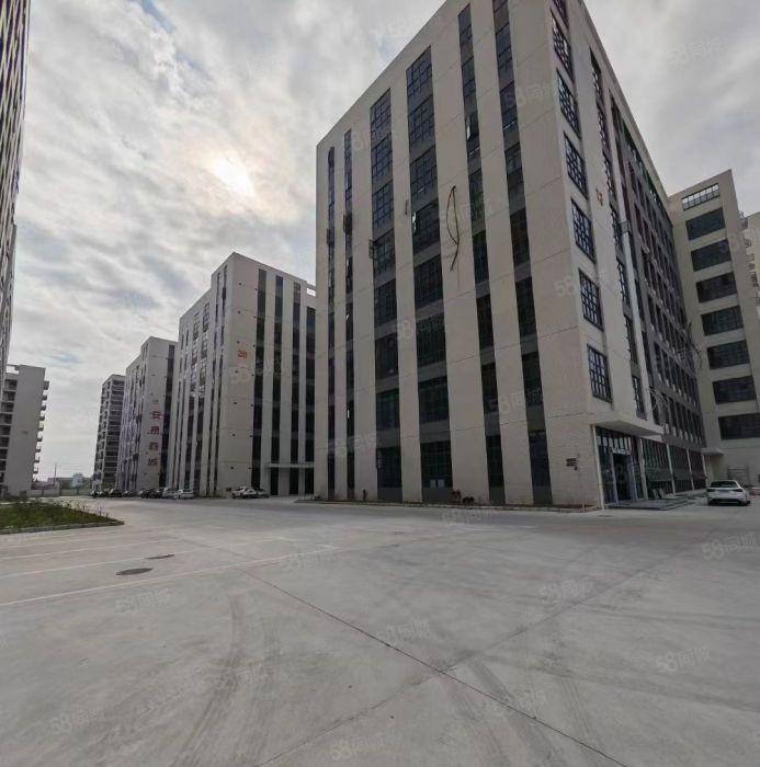 万江新和工业区全新高标准厂房出租