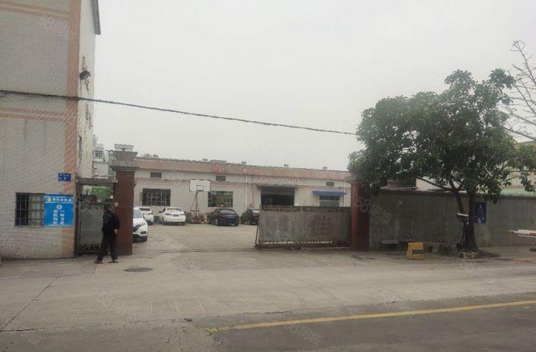 万江单一层独门独院厂房出租，原房东出租，超大空地