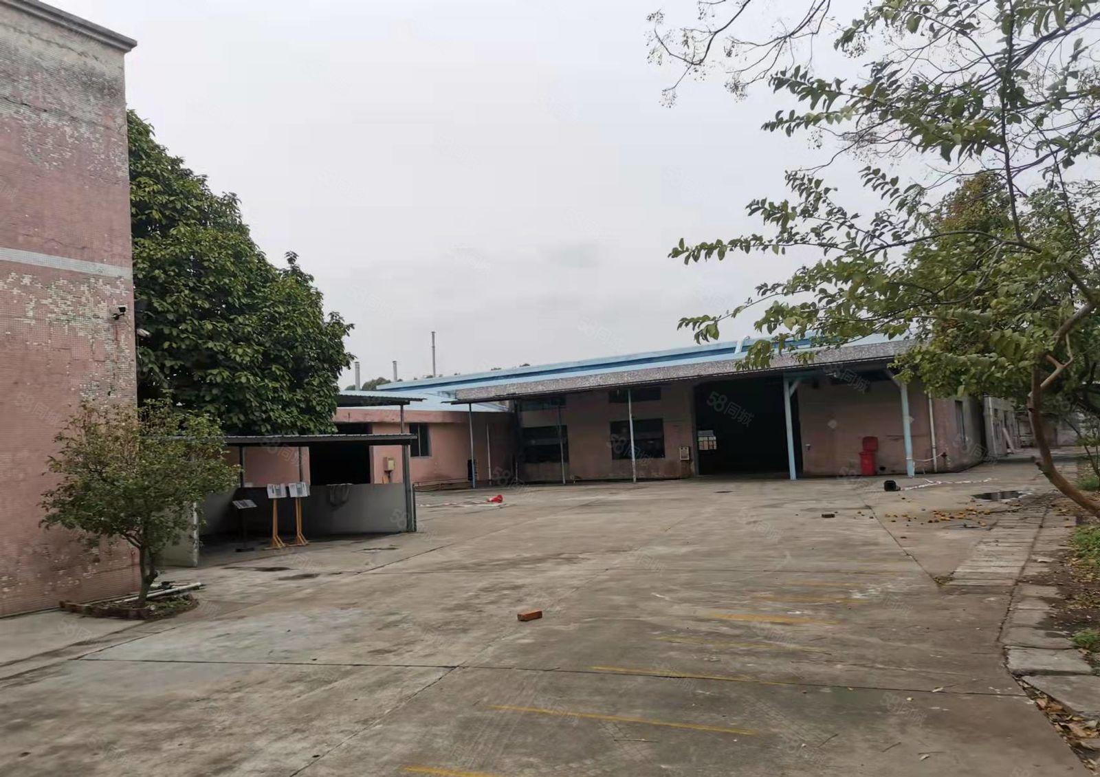 万江大汾工业区，独门独院单一层厂房出租