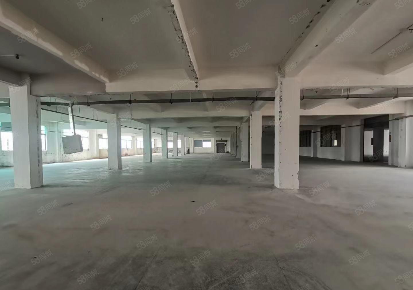 万江新空出标准厂房只要16