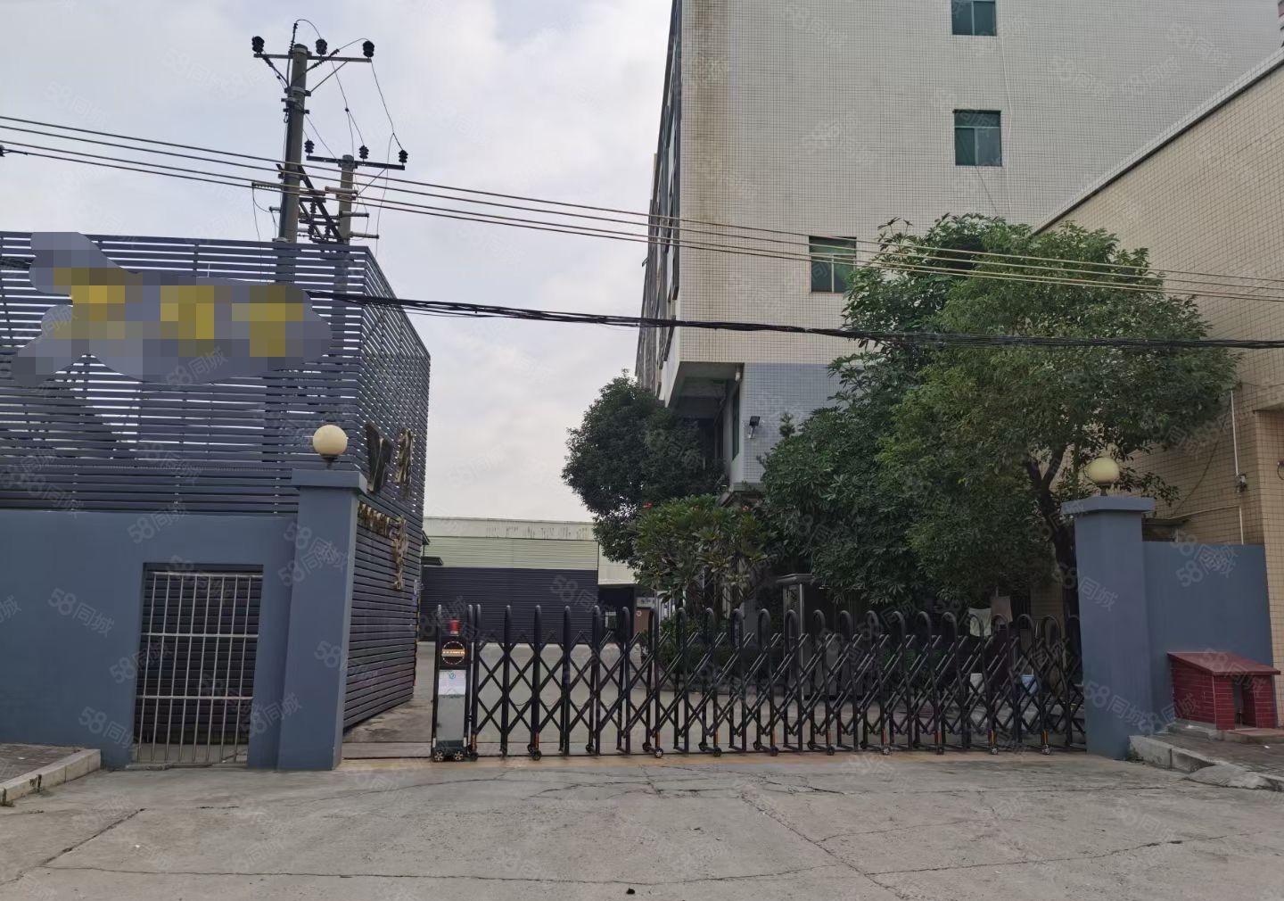 万江省道边，独门独院单一层钢构滴水10米低价厂房出租，可分租