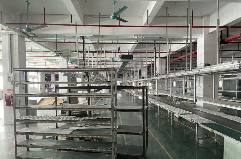 万江莫屋全新厂房一楼800平出租