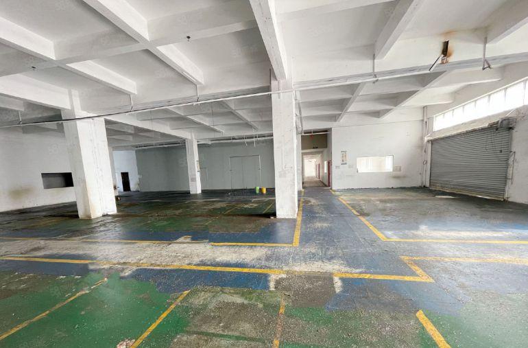 万江大莲塘二楼1300平方标准厂房出租水电齐全有现成办公室