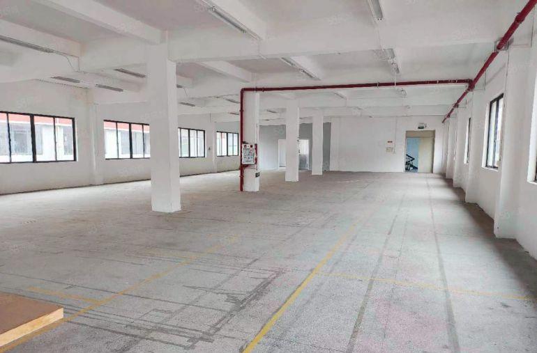 万江金泰厂房776.5平房东物业招租非中介层高2吨货梯东南向