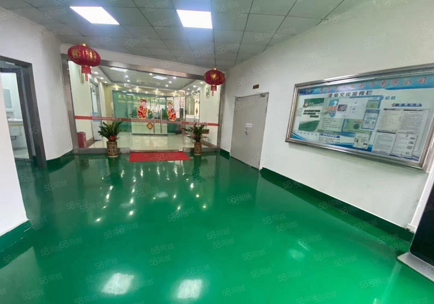 万江原房东独院标准厂房一二楼低价出租，可分租单一层