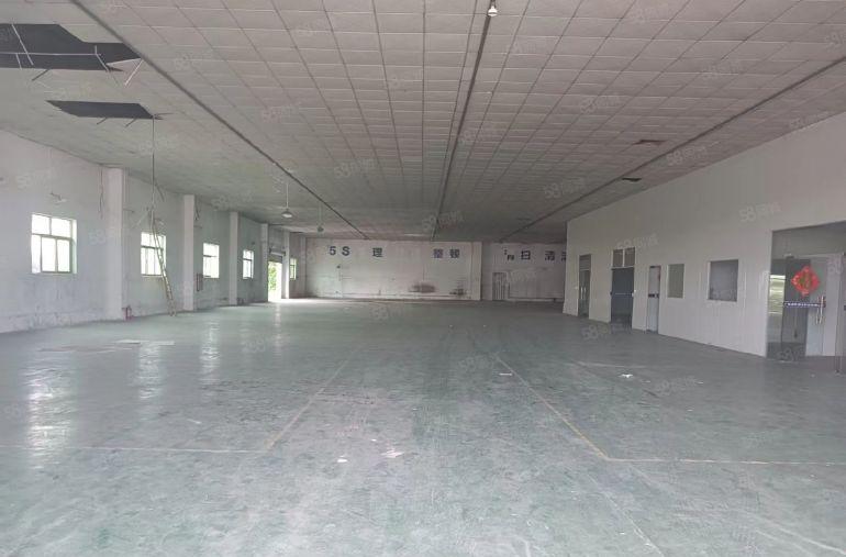 万江环城路外原房东独院厂房出租，带地坪漆，吊顶，拖头可进车间