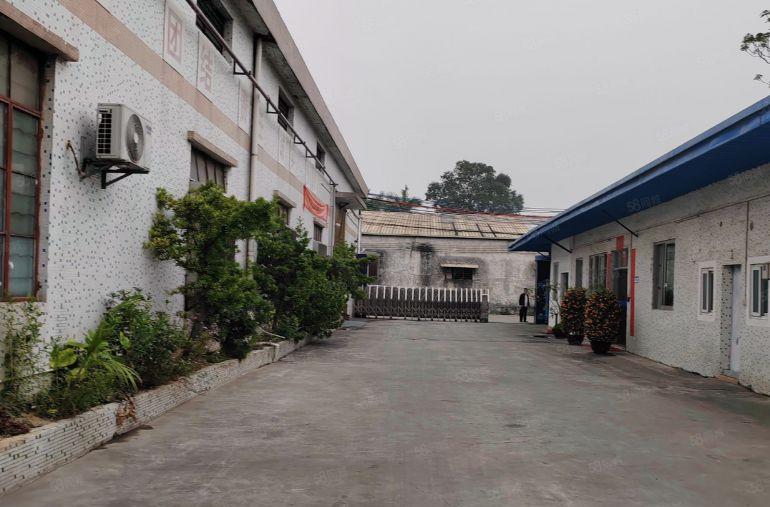 道滘大鱼沙原房东独院厂房