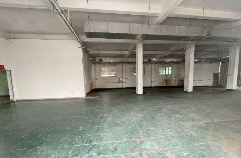 万江严屋一楼650平方标准厂房出租有现成办公室水电齐全空地大