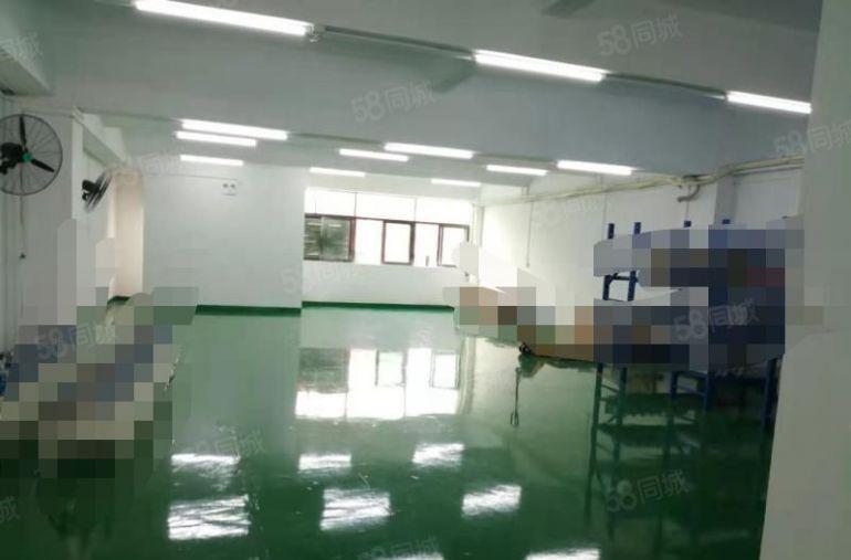 万江石美全新地坪超靓标准厂房出租