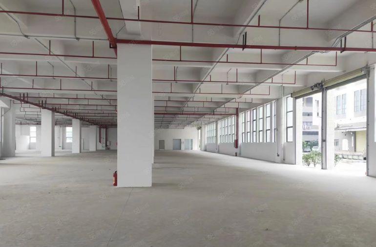 万江街道港口大道旁17层，15400方，可分租