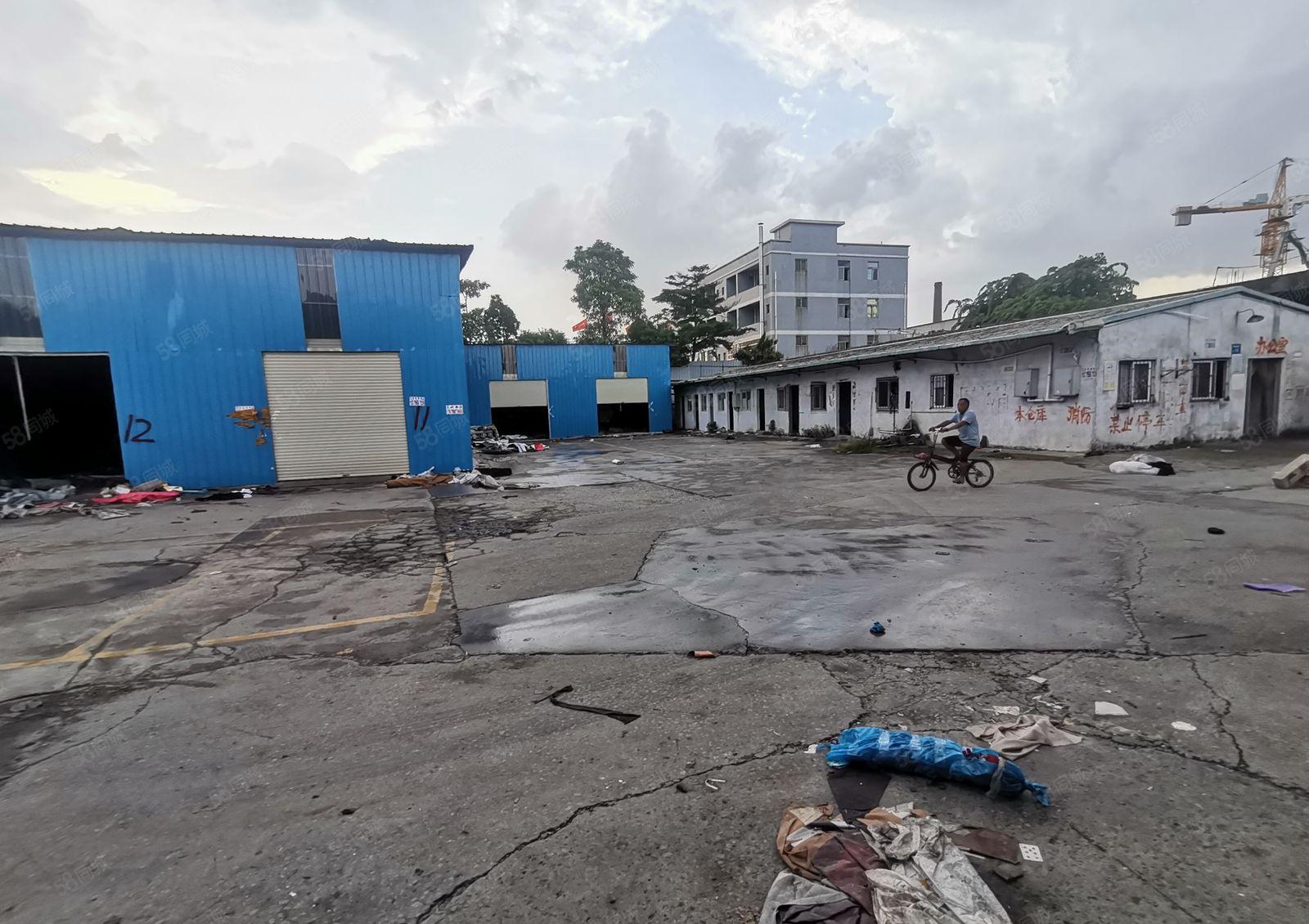 万江滘联独门独院单一层厂房出租