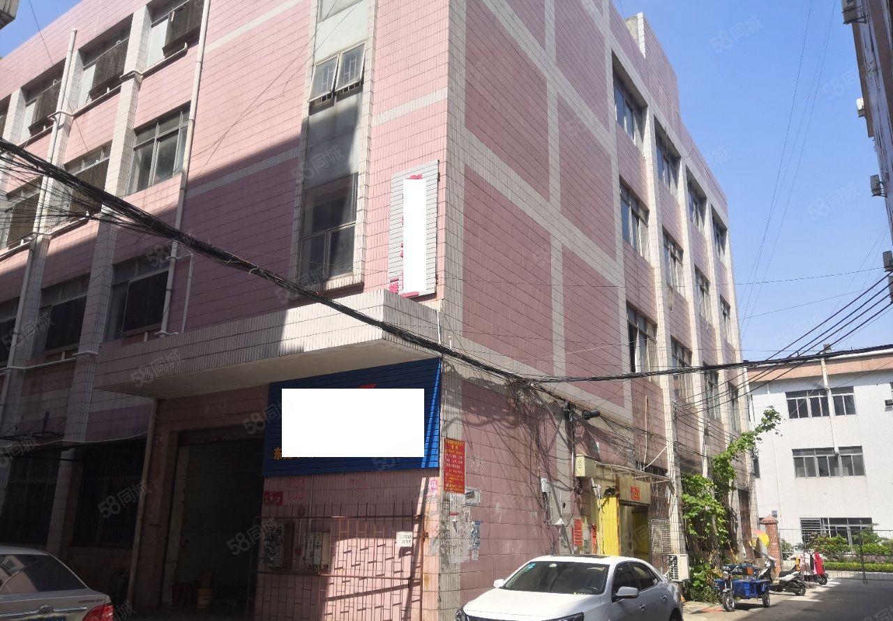 万江新出楼上厂房，总面积4000平方，有宿舍一栋按需