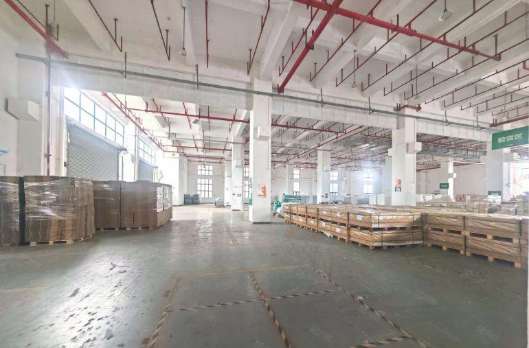 万江重工业水泥结构厂房出租一楼4000平方层高9米带丙二消防