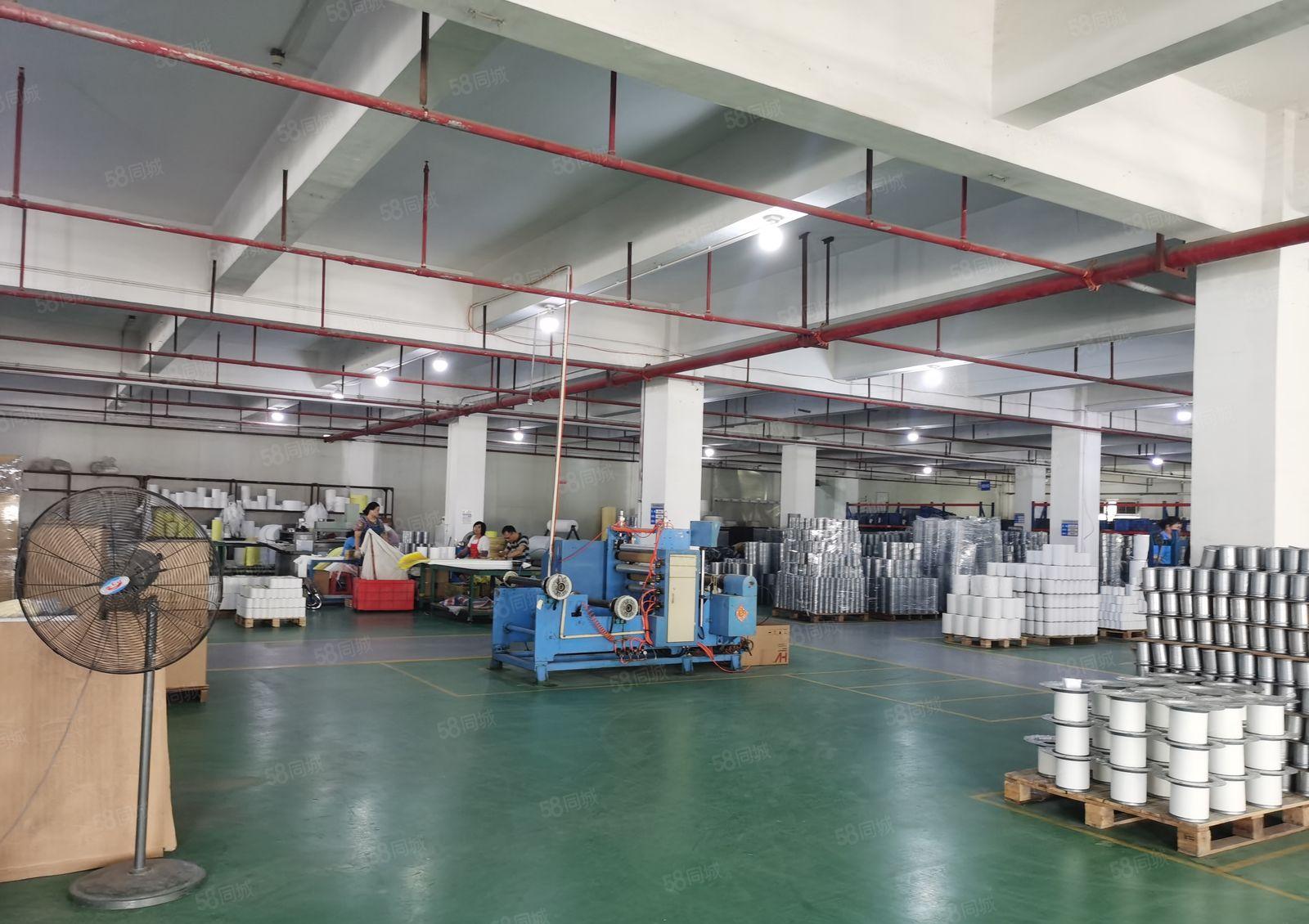 万江区望牛墩道滘洪梅镇原房东楼上单层3600平原房东厂房出租