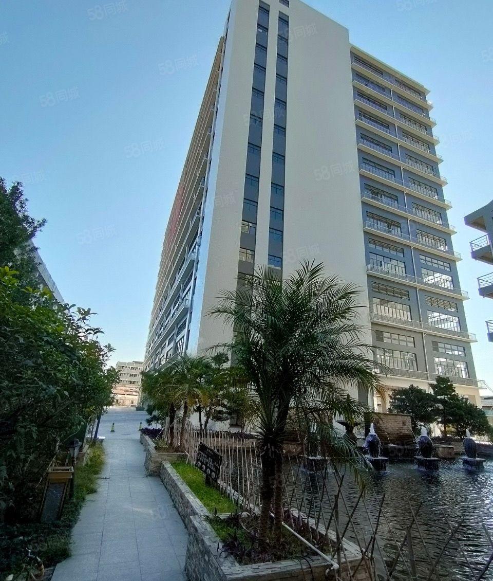 万江原房东新建标准厂房