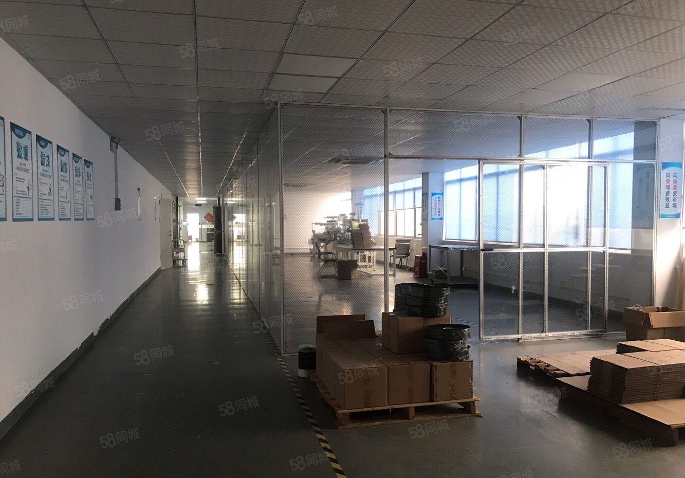 万江原房东独院标准厂房5000平方低价出租，一楼可分租单一层