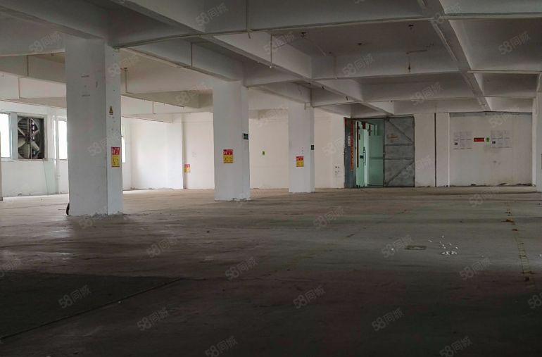 万江新和精装修厂房出租，可做电子仓储直播等行业