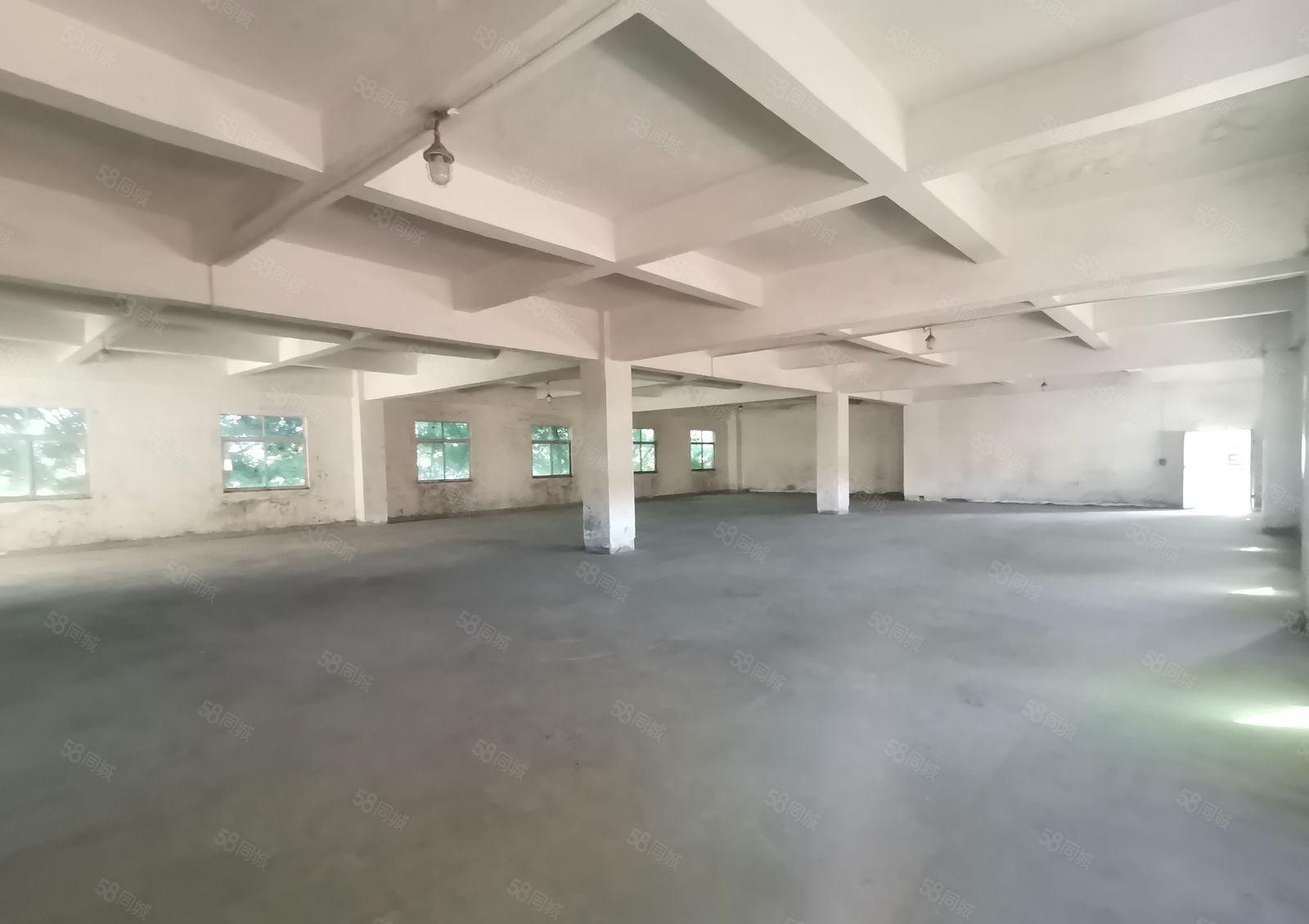 万江滘联标准厂房13F2250平出租