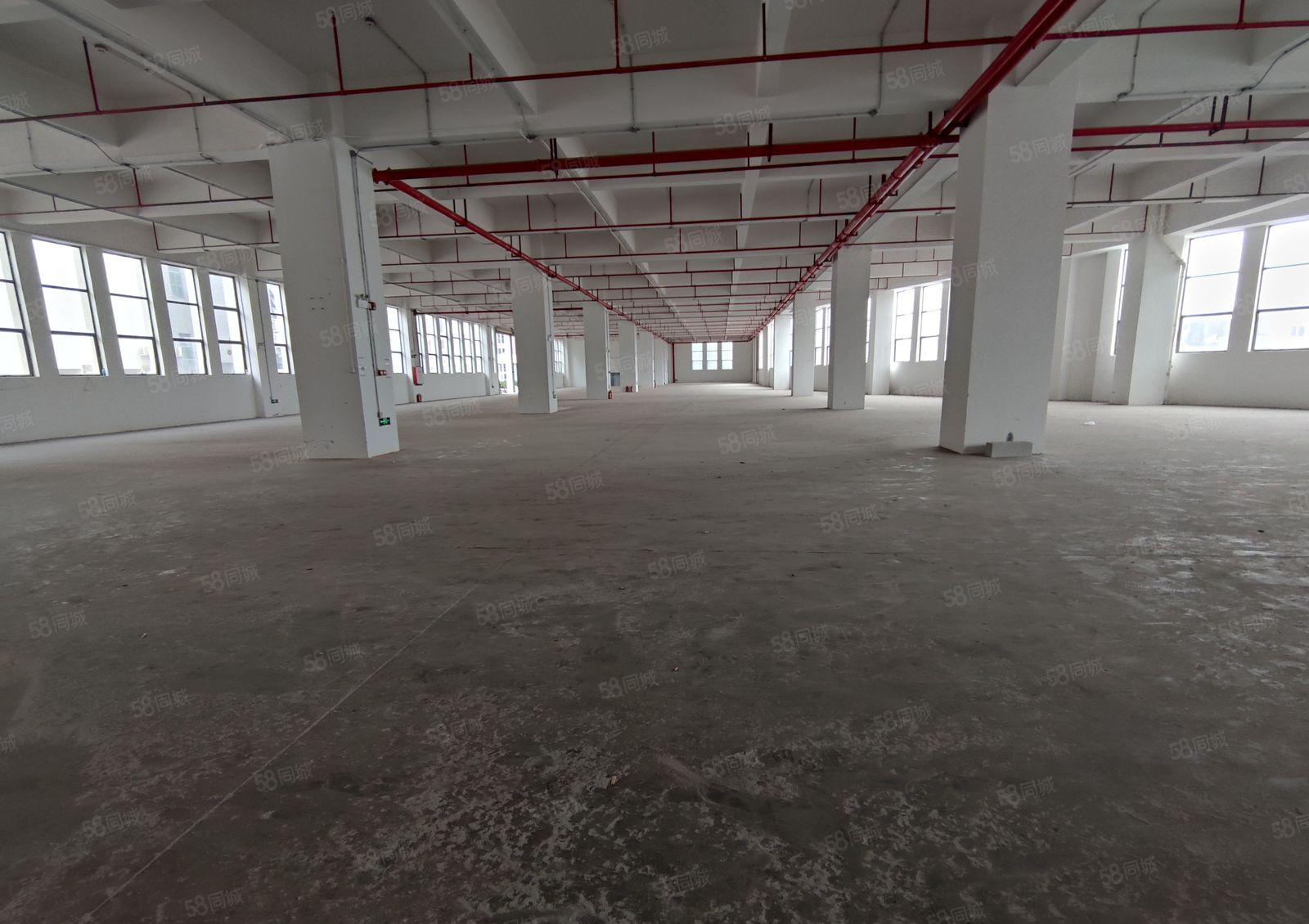 万江环城路外精装修独院红本标准厂房出租16500平米空地大