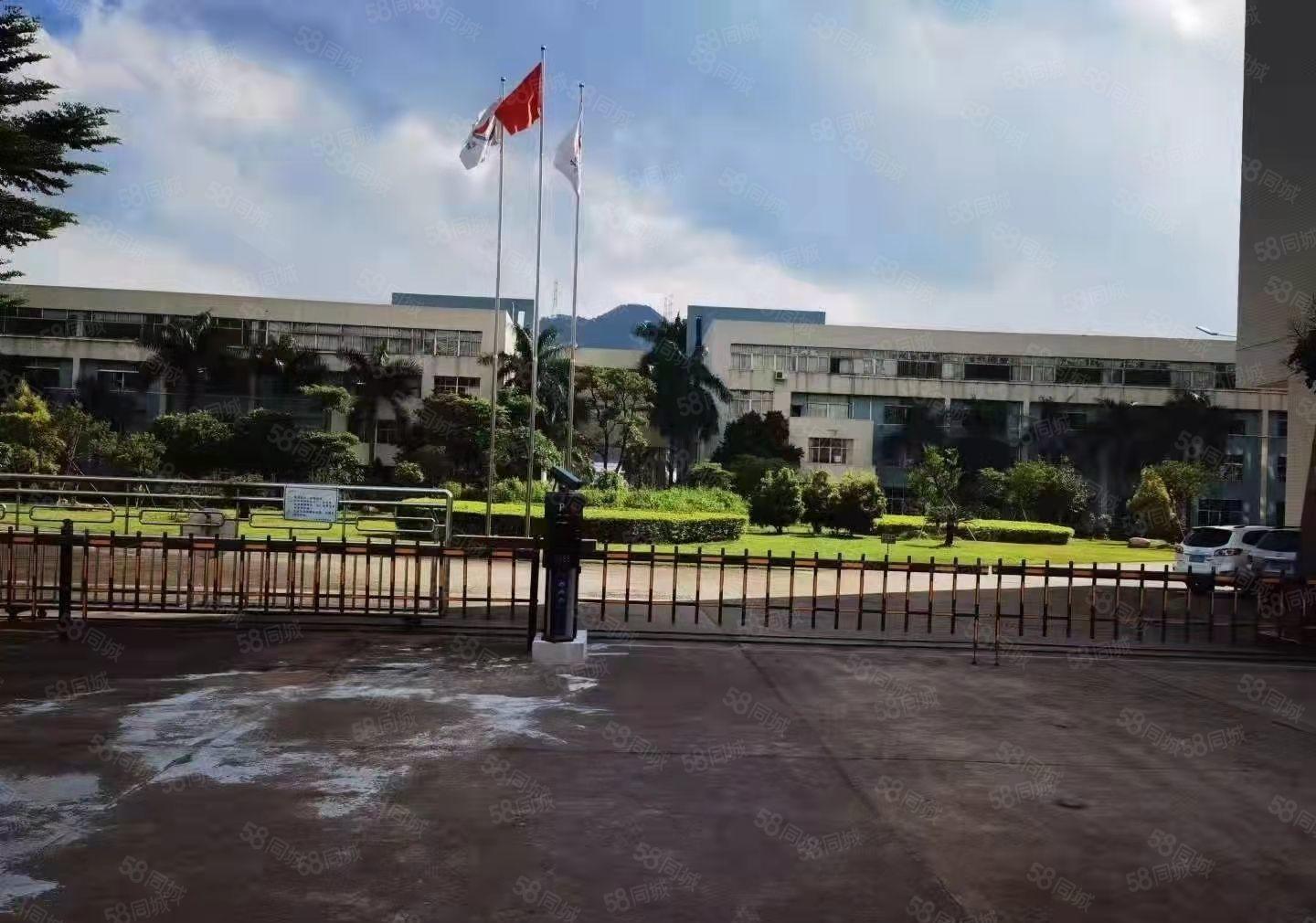 万江花园式独院标准厂房12000平方出租，可整租可分租