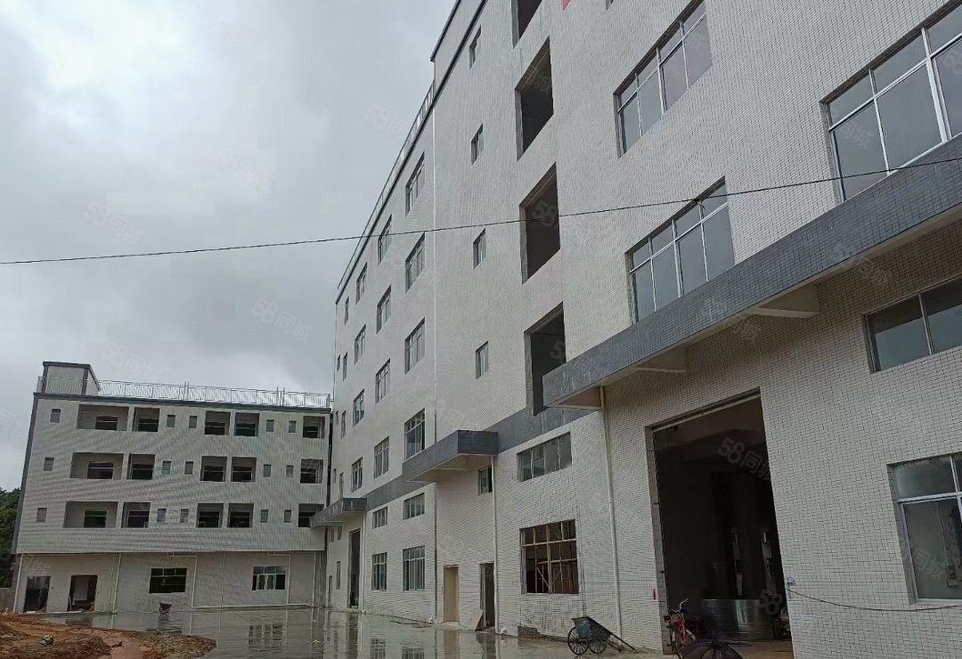 万江新出标准靓厂房，形象靓户型好，适合电子设备仓储