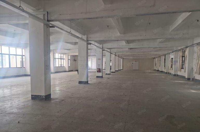 城区万江1300平方 独门独院 厂房出租 带注塑环评 空地大