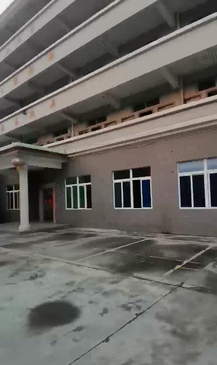 万江水蛇涌工业区新出独门独院标准厂房9835平方