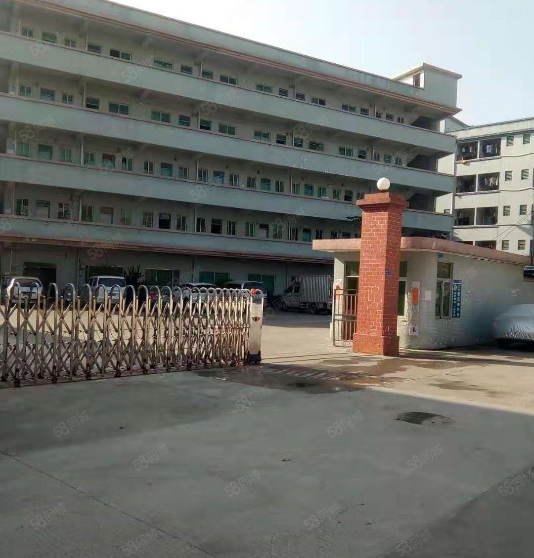 万江（水蛇涌）科技园独院靓厂房招租