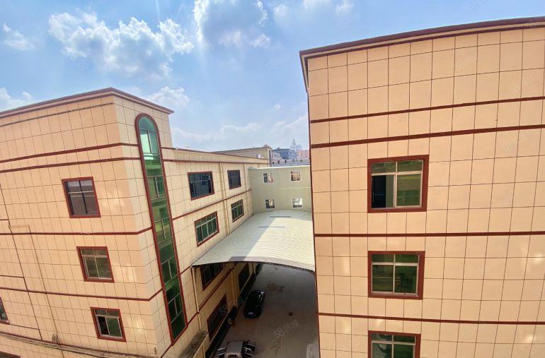 独院厂房出租三层全新装修可办环评万江近港口大道