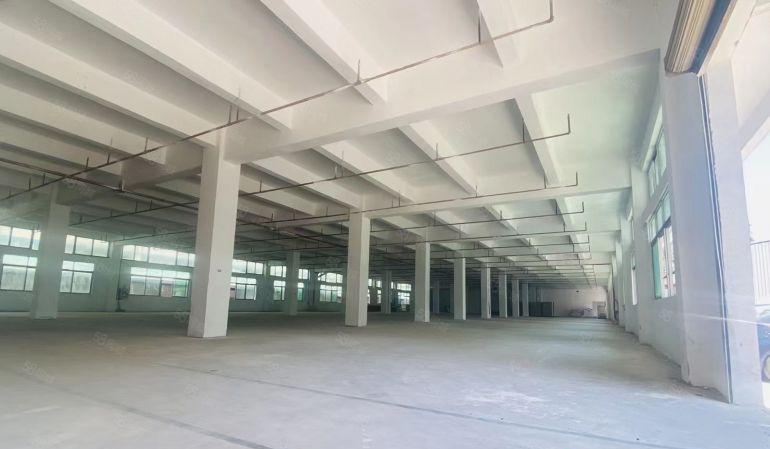 万江区新和独院厂房出租1500平方.空地大价格便宜