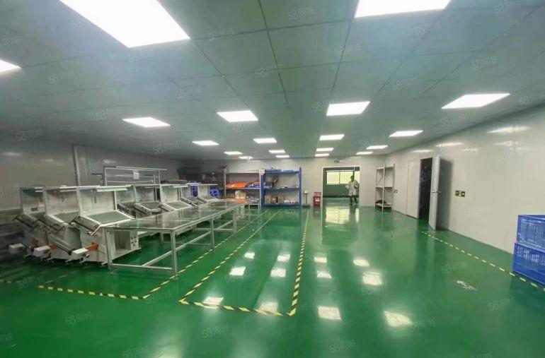 10元可谈万江原房东独院厂房1000平豪华装修无尘车间可分租