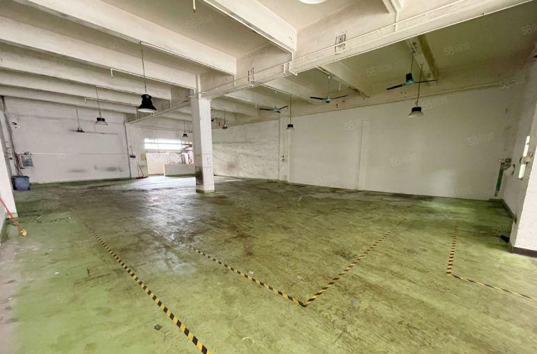 万江简沙洲标准一楼550平方厂房出租水电齐全有现成办公室