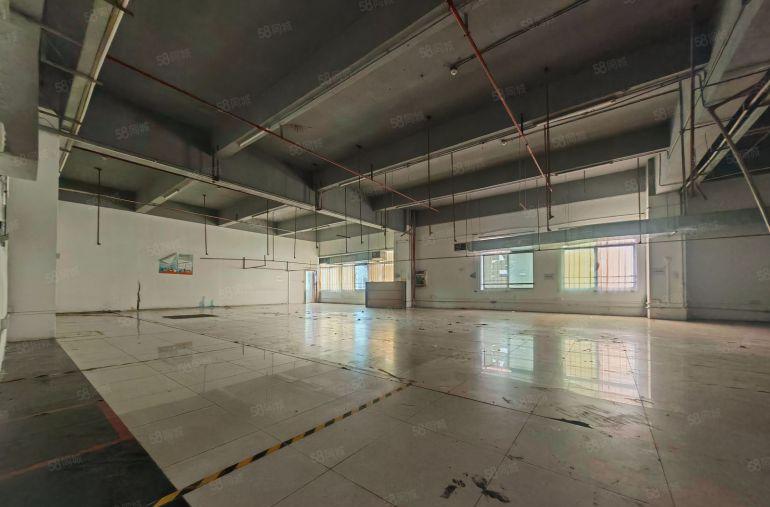 万江新出大型工业园分组厂房一楼，厂房方正，工业用地，交通便利