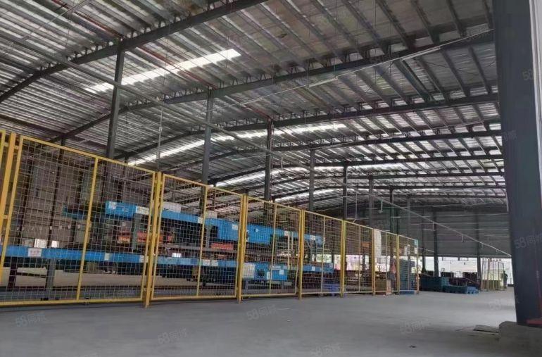 万江区新和新出原房东单一层钢构厂房出租1000平方15块